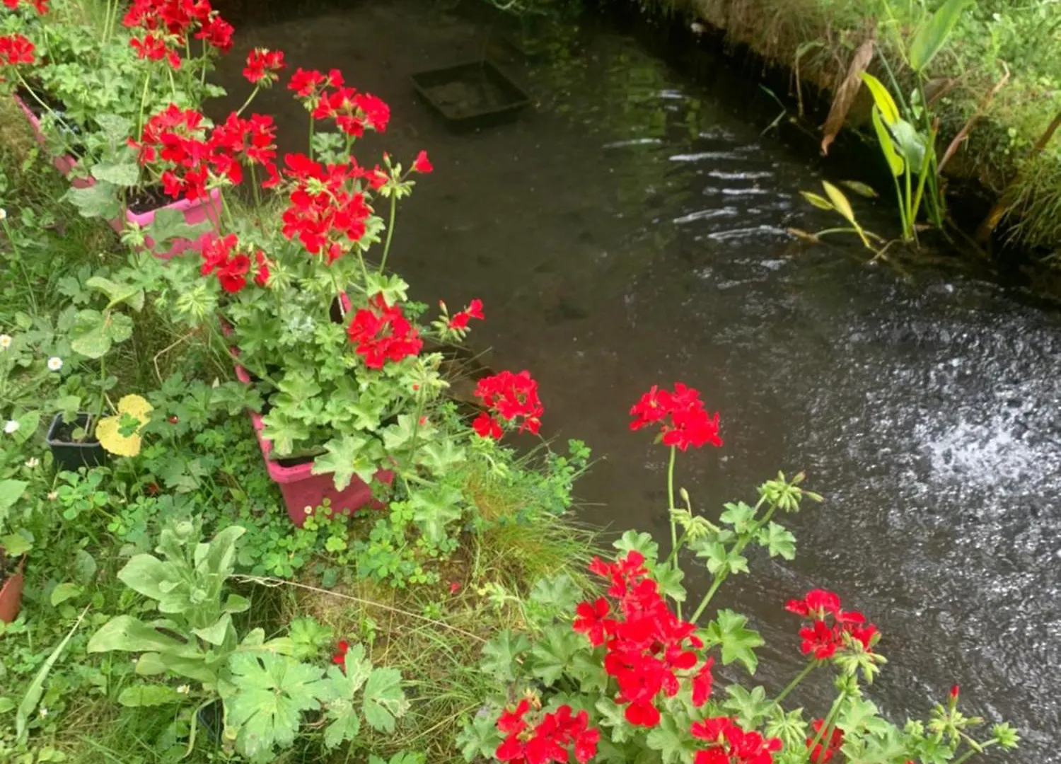 Homestay Vercors En Vert , Chambres D'Hotes De Charme Saint-Romans  France