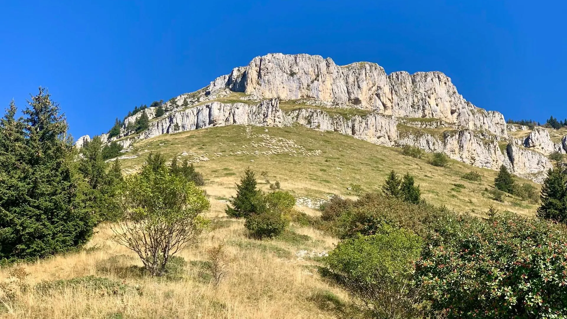 Homestay Vercors En Vert , Chambres D'Hotes De Charme Saint-Romans